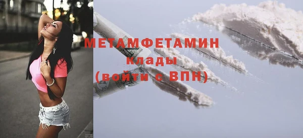 прущие грибы Михайловск