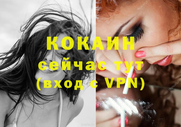 гашик Михайловка